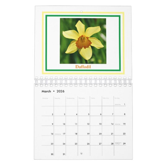 Calendrier Plante et fleurs 2025 (Mar 2026)