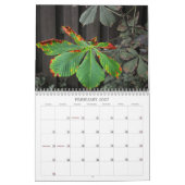 Calendrier Plantes (Feb 2027)