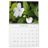 Calendrier Plantes (Jan 2027)