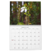 Calendrier Plantes (Mar 2027)
