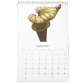 Calendrier Plantes carnivores (Jan 2027)