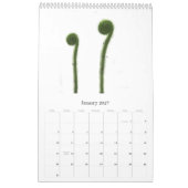 Calendrier Plantes carnivores (Jan 2027)