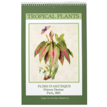 Plantes tropicales botaniques vintage 2027