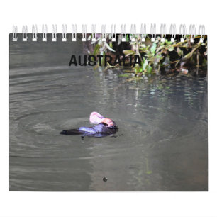 CALENDRIER PLATYPUS AUSTRALIE