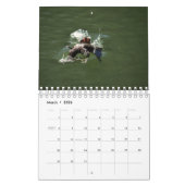 CALENDRIER PLATYPUS AUSTRALIE (Mar 2026)