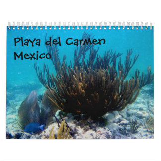 Calendrier Playa del Carmen, Mexique