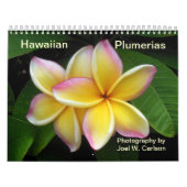 Calendrier Plumerias hawaïens (Protection)