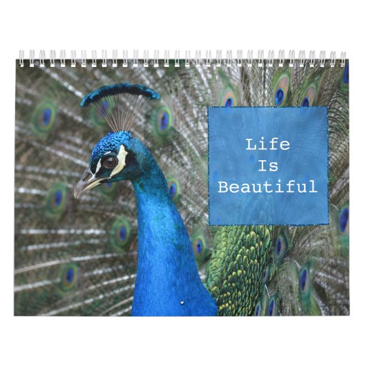 Calendrier Plumes Kauai Peacock (Protection)