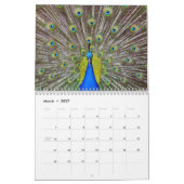 Calendrier Plumes Kauai Peacock (Mar 2027)