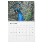 Calendrier Plumes Kauai Peacock (Feb 2027)