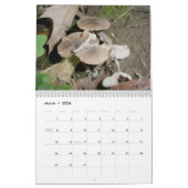 Calendrier - Plus de champignons (Mar 2026)