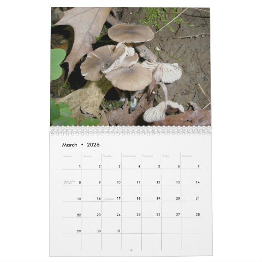 Calendrier - Plus de champignons (Mar 2026)
