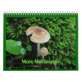Calendrier - Plus de champignons (Protection)