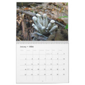 Calendrier - Plus de champignons (Jan 2026)
