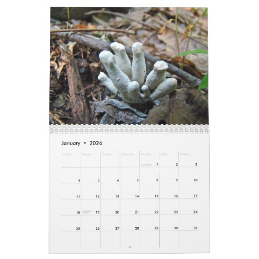 Calendrier - Plus de champignons (Jan 2026)