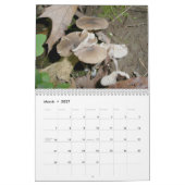 Calendrier - Plus de champignons (Mar 2027)
