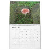 Calendrier - Plus de champignons (Feb 2027)