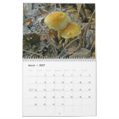 Calendrier - Plus de champignons merveilleux (Mar 2027)