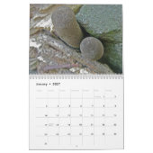 Calendrier - Plus de champignons merveilleux (Jan 2027)