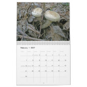 Calendrier - Plus de champignons merveilleux (Feb 2027)