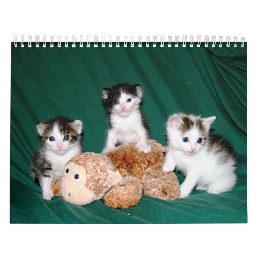 Calendrier Plus de chatons ! (Protection)