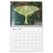 Calendrier - Plus de papillons et de papillons (Feb 2027)