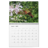 Calendrier - Plus de papillons et de papillons (Mar 2027)