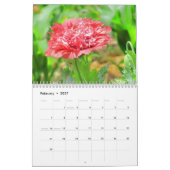 Calendrier Plus De Scènes D'Un Jardin Fleuri (Feb 2027)