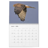 CALENDRIER PNW BIRDS 2025 - PACIFIC NORTHWEST BIRDS   (Mar 2026)