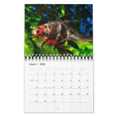 Calendrier Poisson (Mar 2026)