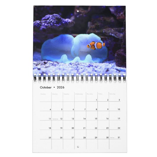 Calendrier Poisson (Oct 2026)