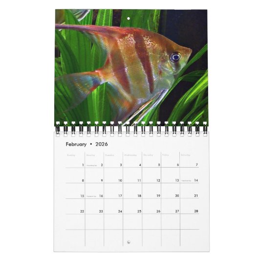 Calendrier Poisson (Feb 2026)