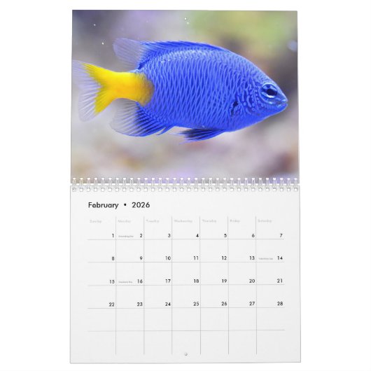 Calendrier Poisson clown 2025 (Feb 2026)