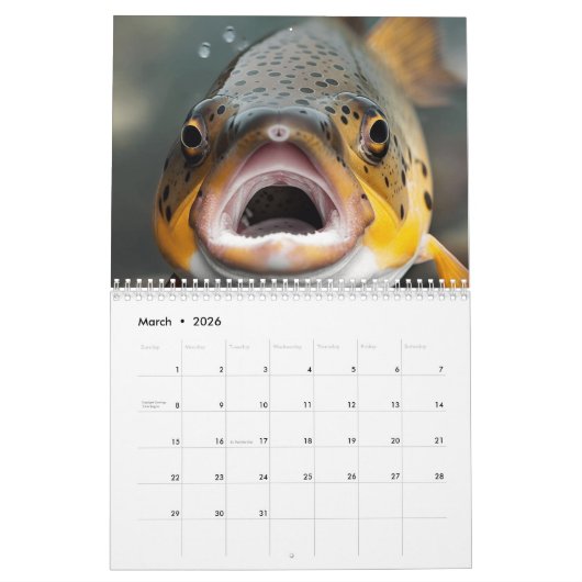 Calendrier Poisson de truite arc-en-ciel 2024 (Mar 2026)