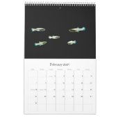 Calendrier Poisson du monde (Feb 2027)