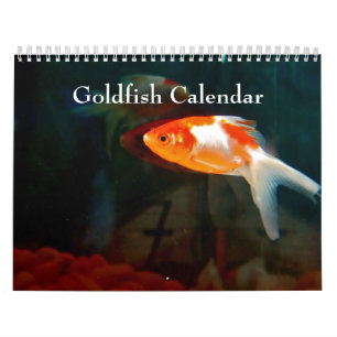Calendrier Poisson rouge 2024