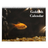 Calendrier Poisson rouge 2025 (Protection)