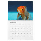 Calendrier Poisson rouge 2027 (Jan 2027)