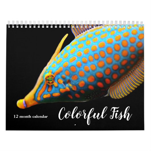 Calendrier Poissons colorés 2027 (Protection)