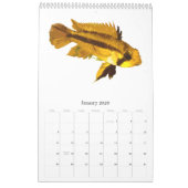 Calendrier Poissons du monde 2010 (Jan 2026)