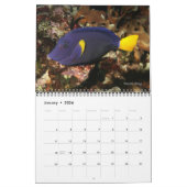 Calendrier Poissons du récif de la mer Rouge 1 (Jan 2026)