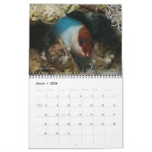 Calendrier Poissons du récif de la mer Rouge 1 (Mar 2026)