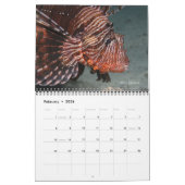 Calendrier Poissons du récif de la mer Rouge 1 (Feb 2026)