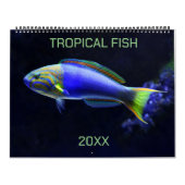 Calendrier Poissons tropicaux modifiables (Protection)