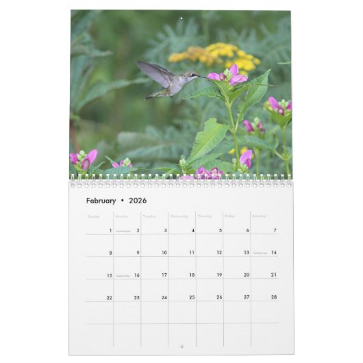 Calendrier Pollinisateurs (Feb 2026)