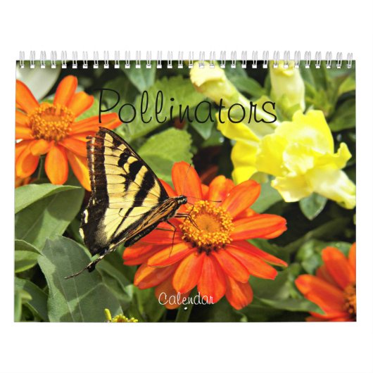 Calendrier Pollinisateurs Photographie de la nature (Protection)