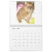 Calendrier Pomeranians royal (Mar 2027)