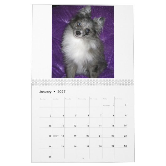 Calendrier Pomeranians royal (Jan 2027)