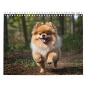 Calendrier Poméranien 2025 (Protection)