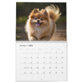 Calendrier Poméranien 2025 (Jan 2026)